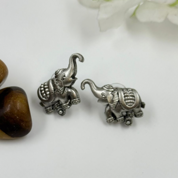Bohemian Bliss: Oxidized Silver Earring Gift Box