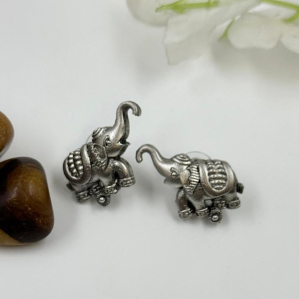 Oxidized Charm Earring Set – 5 Styles in 1 Box